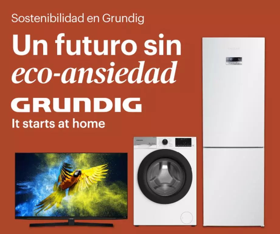 Promociones de Grundig