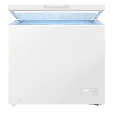 Congelador Zanussi ZCAN20FW1 F
