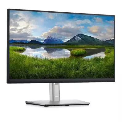 Monitor DELL DELL-P2225H