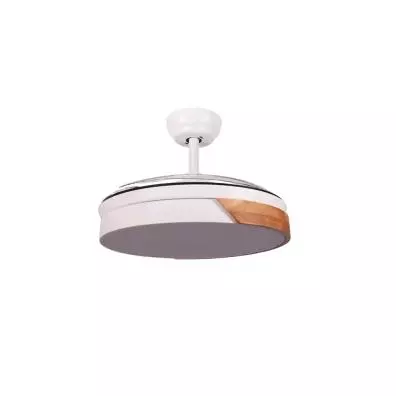 Ventilador FM VR-1100