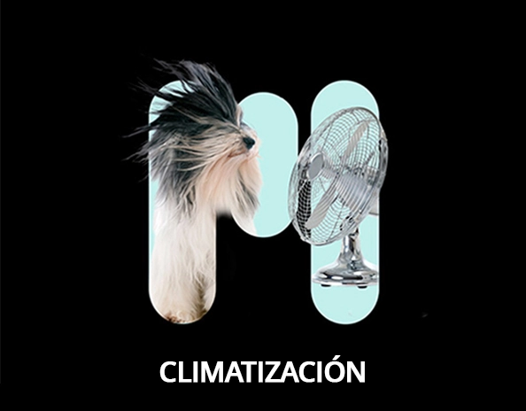 SECADORAS
